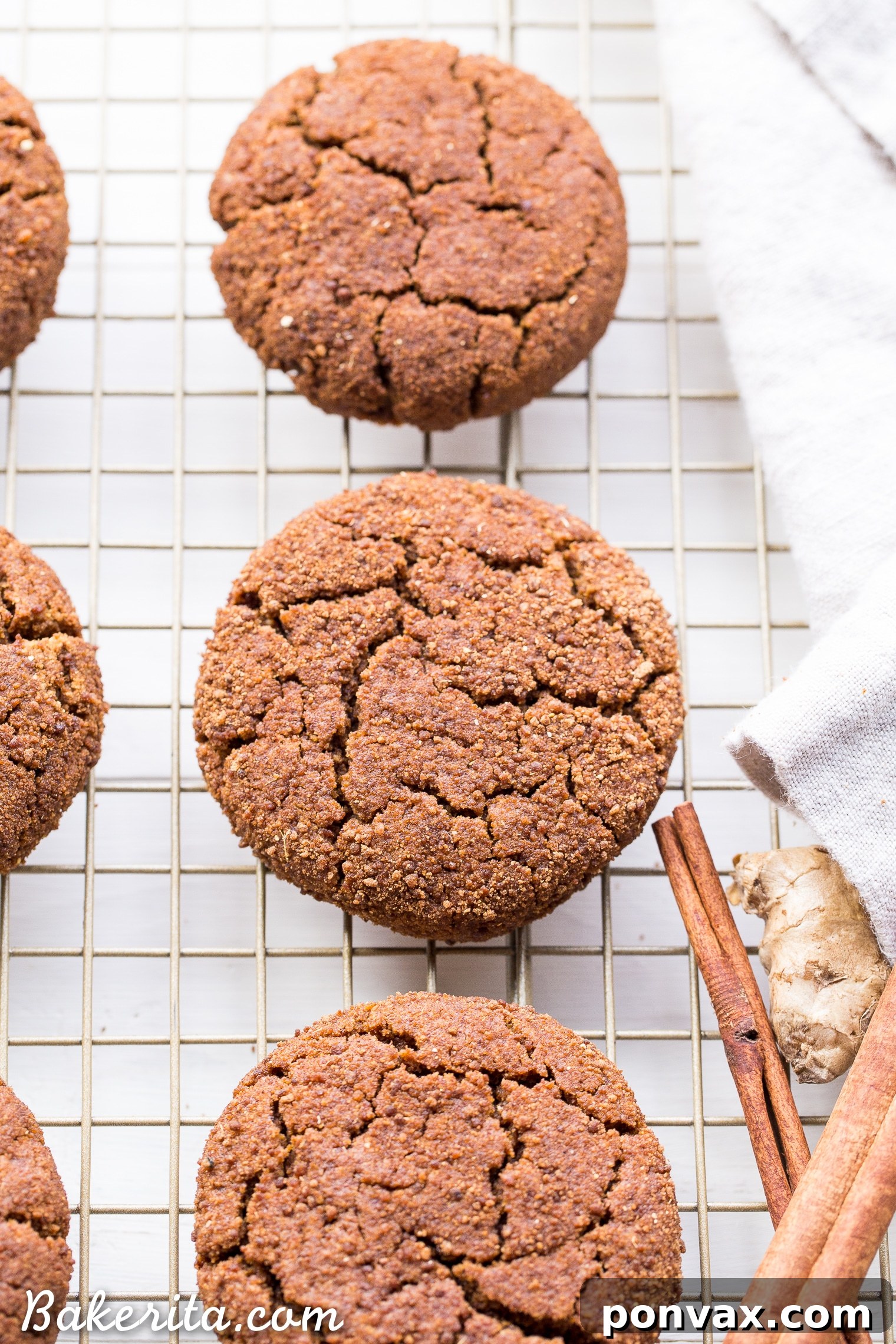 Tender Gluten-Free Spiced Ginger Cookies 3 These Soft Gingerbread Cookies will be a holiday staple! They're incredibly chewy with tons of flavor from the molasses and warm spices. These gluten-free, paleo, and vegan cookies are sure to be a hit.