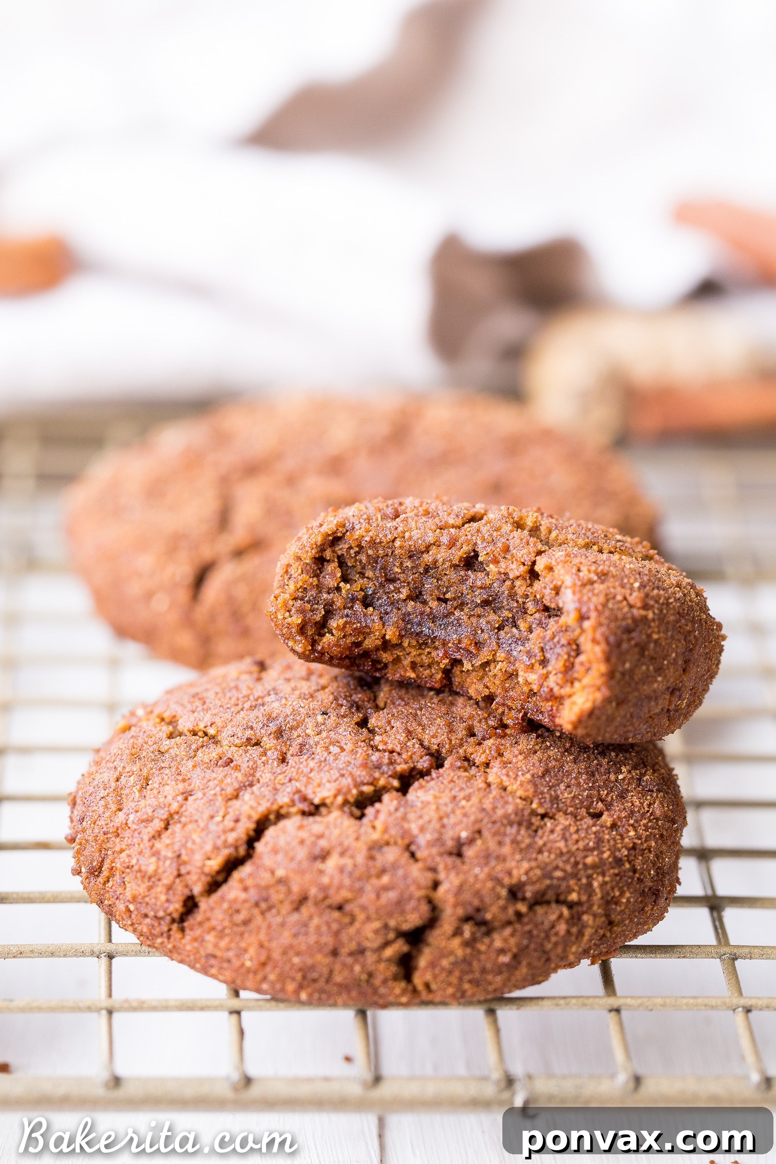 Tender Gluten-Free Spiced Ginger Cookies 6 These Soft Gingerbread Cookies will be a holiday staple! They're incredibly chewy with tons of flavor from the molasses and warm spices. These gluten-free, paleo, and vegan cookies are sure to be a hit.