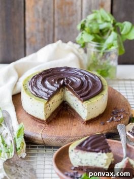 Paleo Vegan Gluten Free No Bake Mint Chip Cheesecake 8 A delicious slice of No-Bake Mint Chip Cheesecake, showing the creamy green filling and rich chocolate layers.