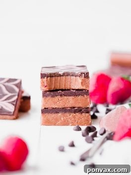 These No Bake Chocolate Strawberry Cashew Butter Bars have a creamy strawberry cashew butter base, topped with dark chocolate and a strawberry drizzle. You only need seven ingredients to make these irresistible gluten-free, paleo and vegan cashew butter bars.