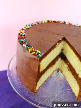 Fluffy Yellow Birthday Cake with Chocolate Ganache Frosting