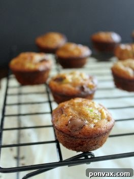 Wholesome Gluten-Free Naturally Sweetened Zucchini Chocolate Chip Mini Muffins 2 Delicious Zucchini Chocolate Chip Mini Muffins, a perfect gluten-free and refined sugar-free treat.