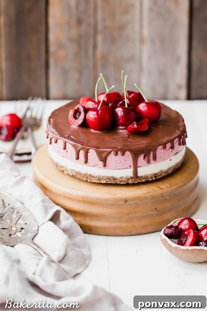 A stunning no-bake cherry cheesecake, with layers of vanilla and cherry filling, topped with dark chocolate ganache and fresh cherries.