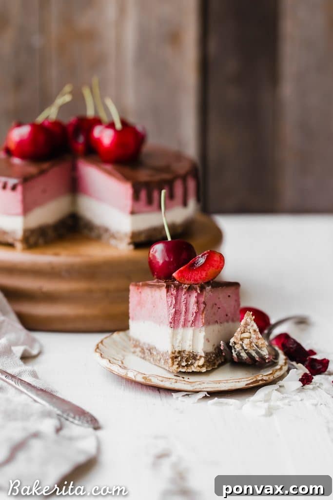 A close-up of the cherry cheesecake showing the distinct layers and the texture of the chocolate ganache.