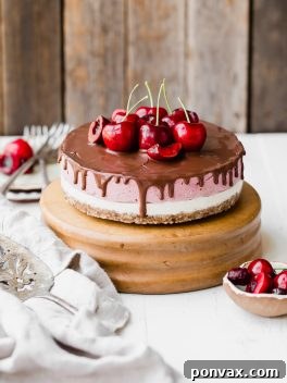 A slice of no-bake cherry cheesecake on a plate, garnished with fresh cherries.