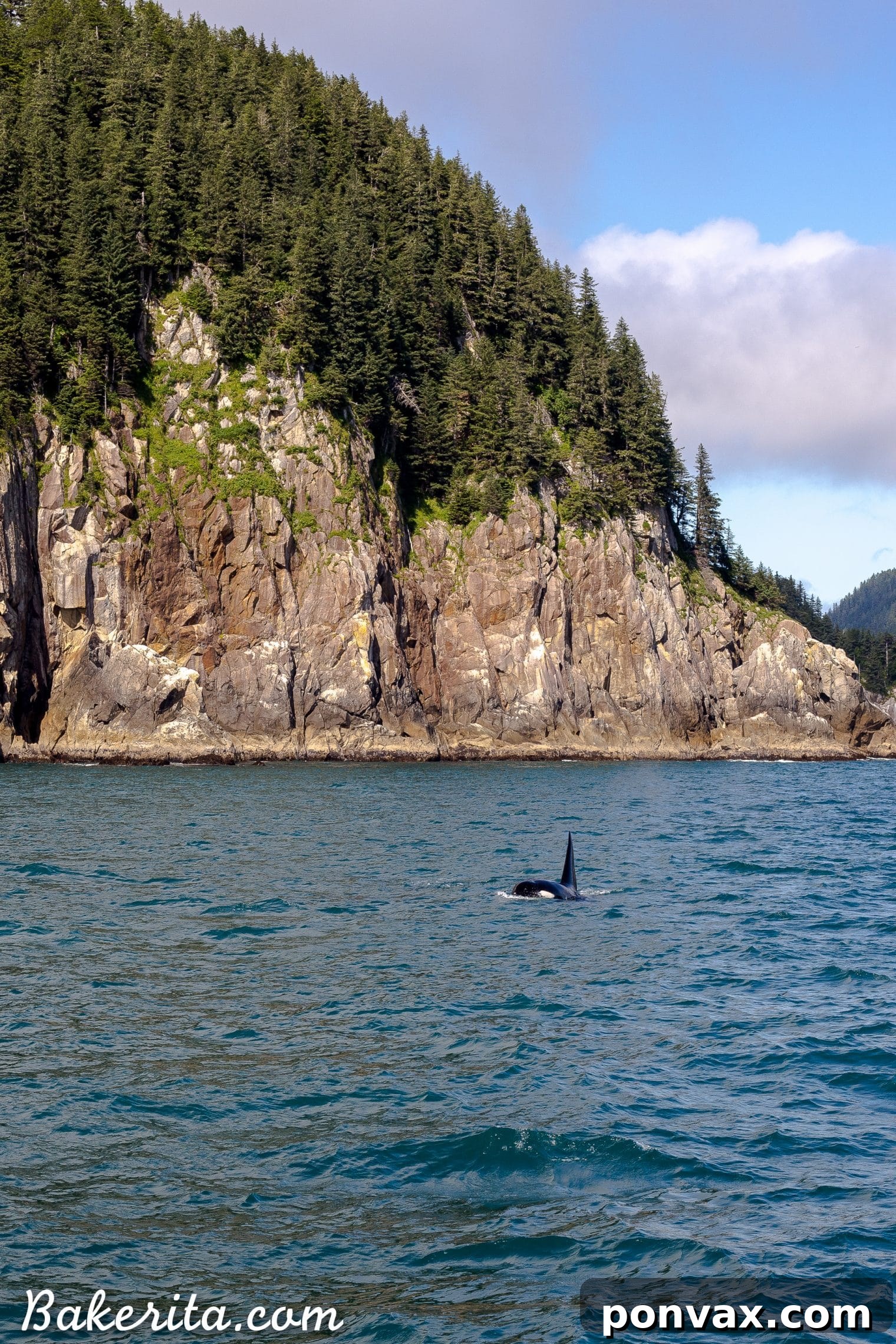 Alaska cruise landscape with rugged mountains and a calm body of water