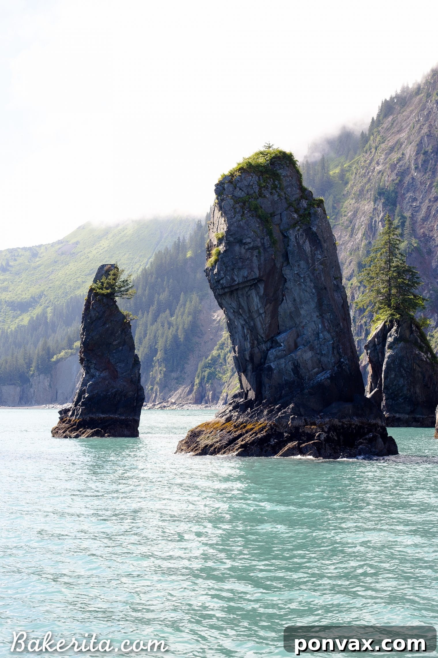 Expansive view of a dense green forest and calm waters under an overcast sky in Alaska