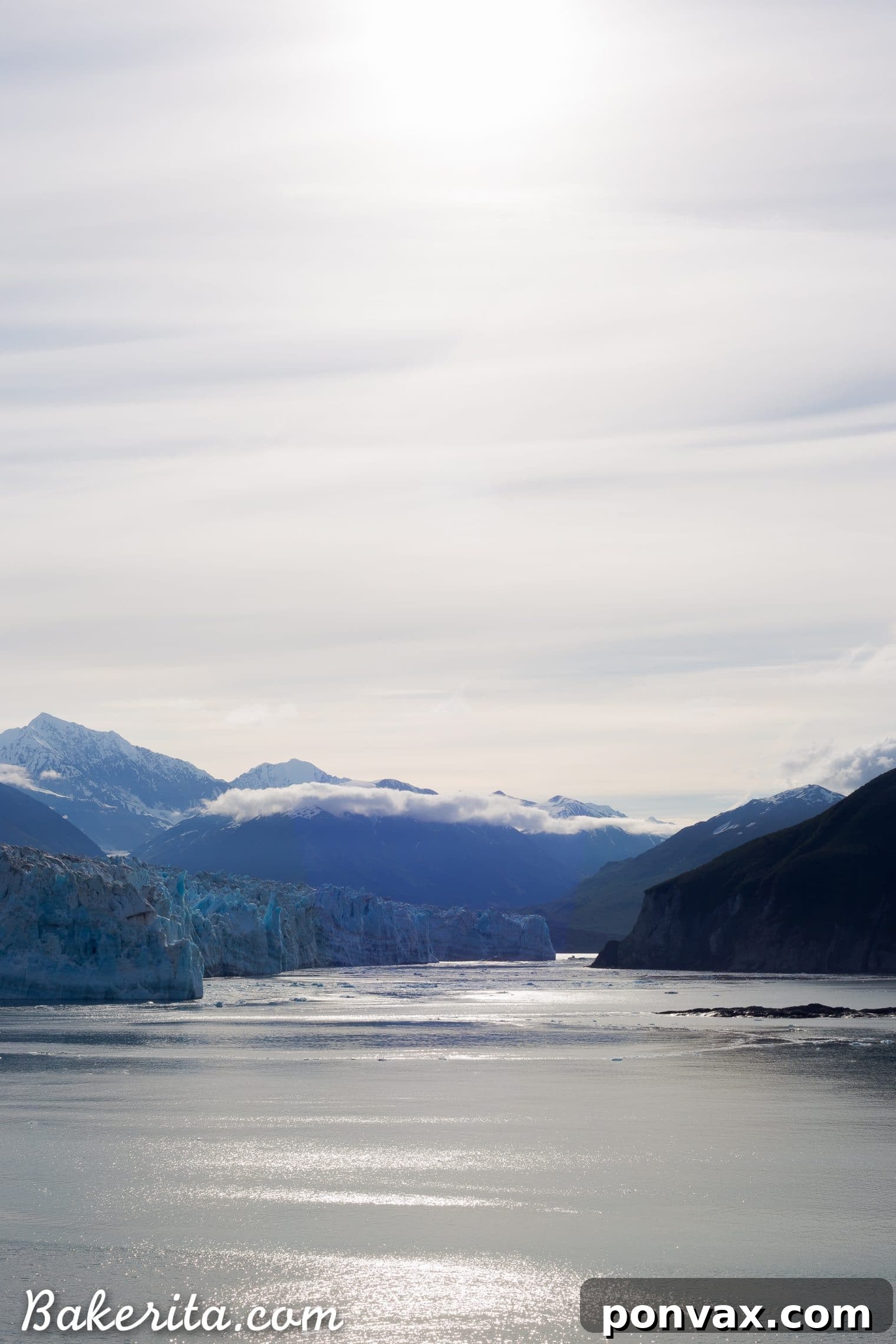Close-up of a vibrant, colorful flower blooming in the Alaskan wilderness