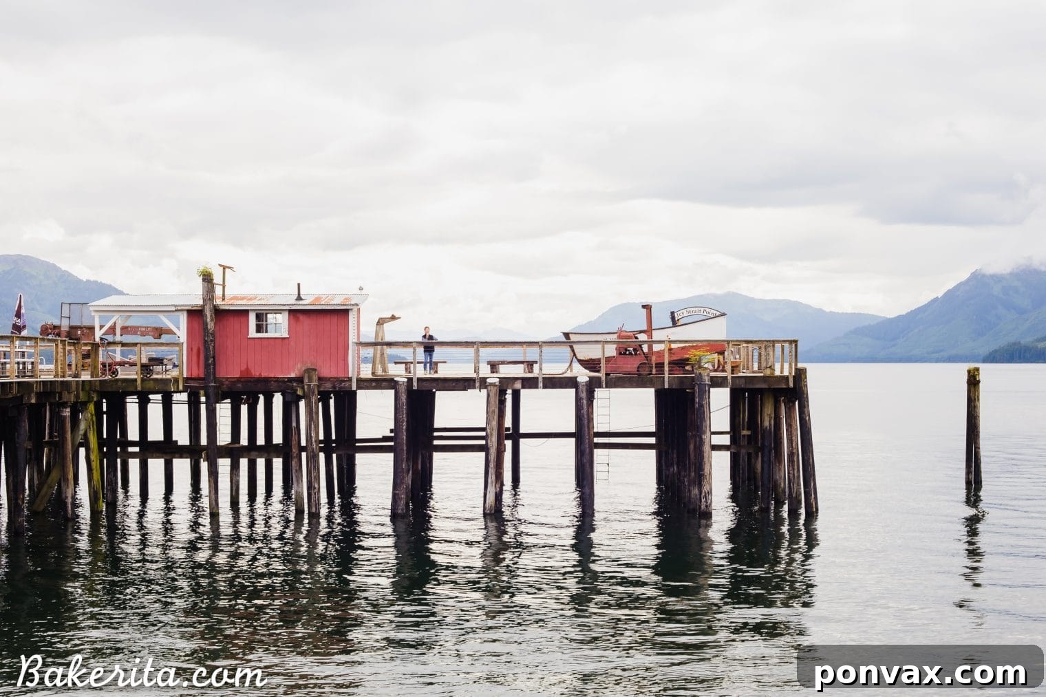 Alaskan wildlife photo of a majestic brown bear fishing in a river