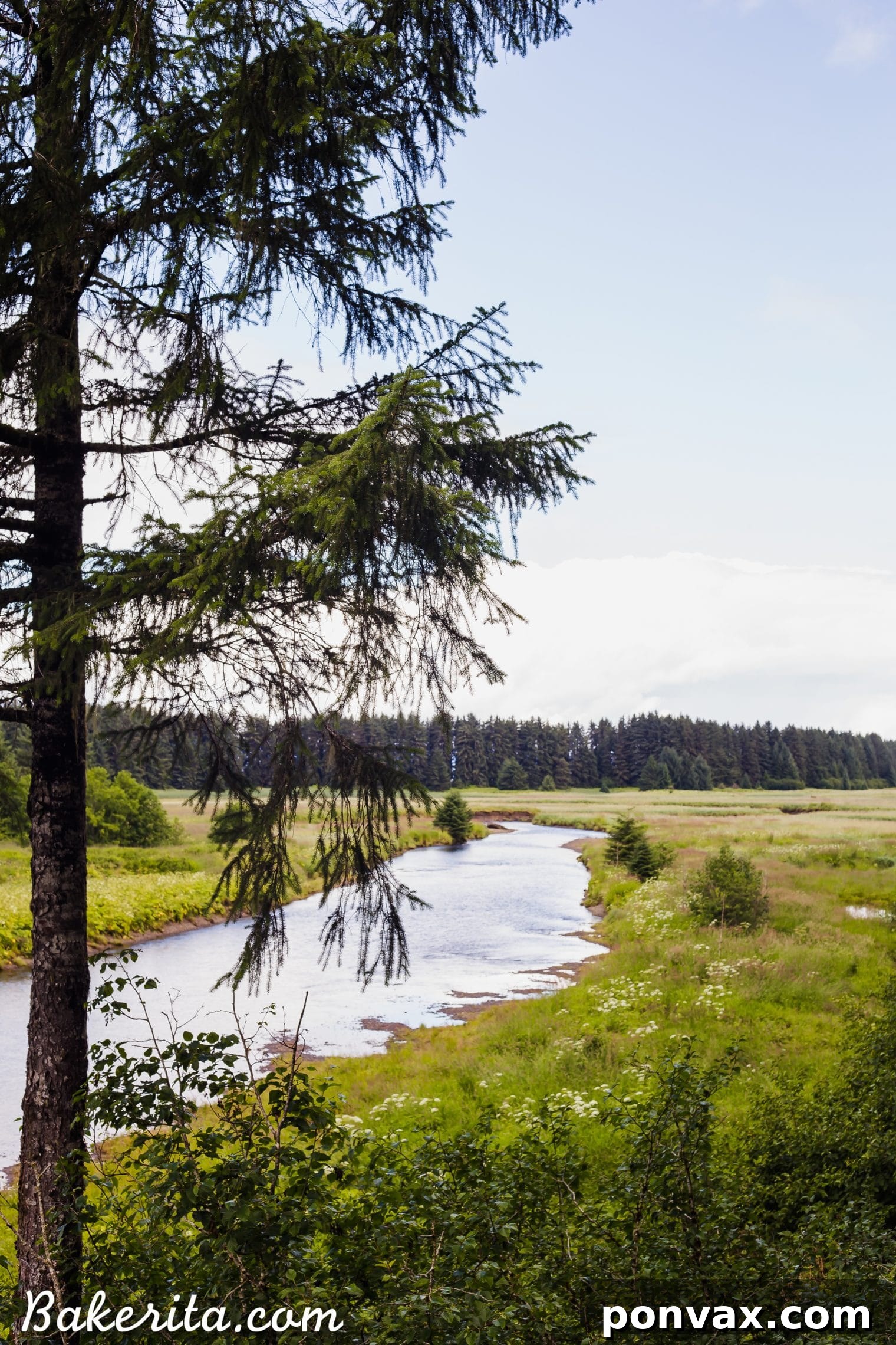 Author enjoying a healthy breakfast of oatmeal with fruit and nuts on a cruise
