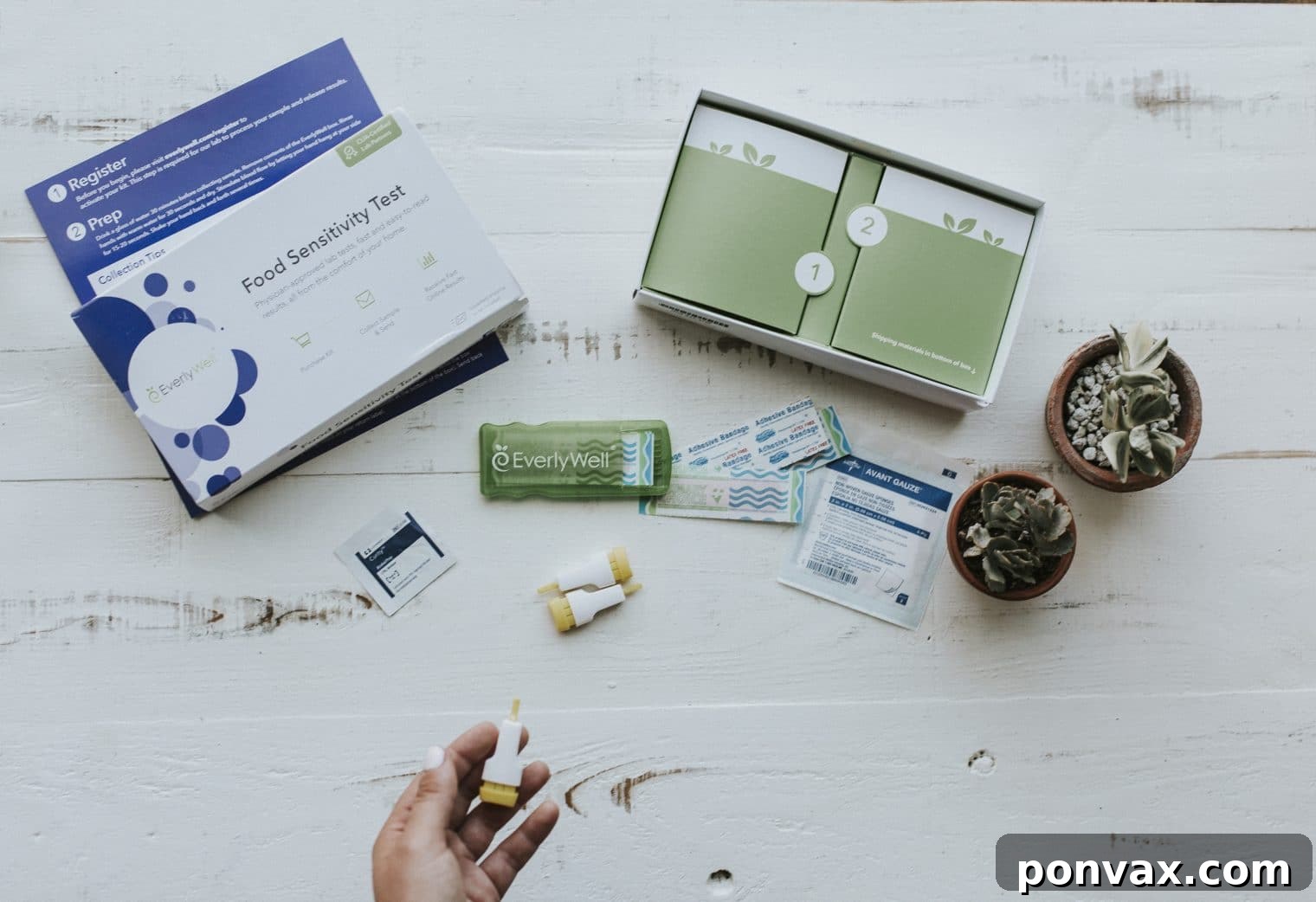 EverlyWell Food Sensitivity Test kit components, illustrating the convenience of at-home testing