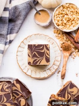 These Chocolate Pumpkin Spice Crispy Bars have a pumpkin spice rice crispy base, topped with a layer of dark chocolate and a pumpkin spice swirl. These bars are easy to make, beautiful, delicious, and gluten-free + vegan!