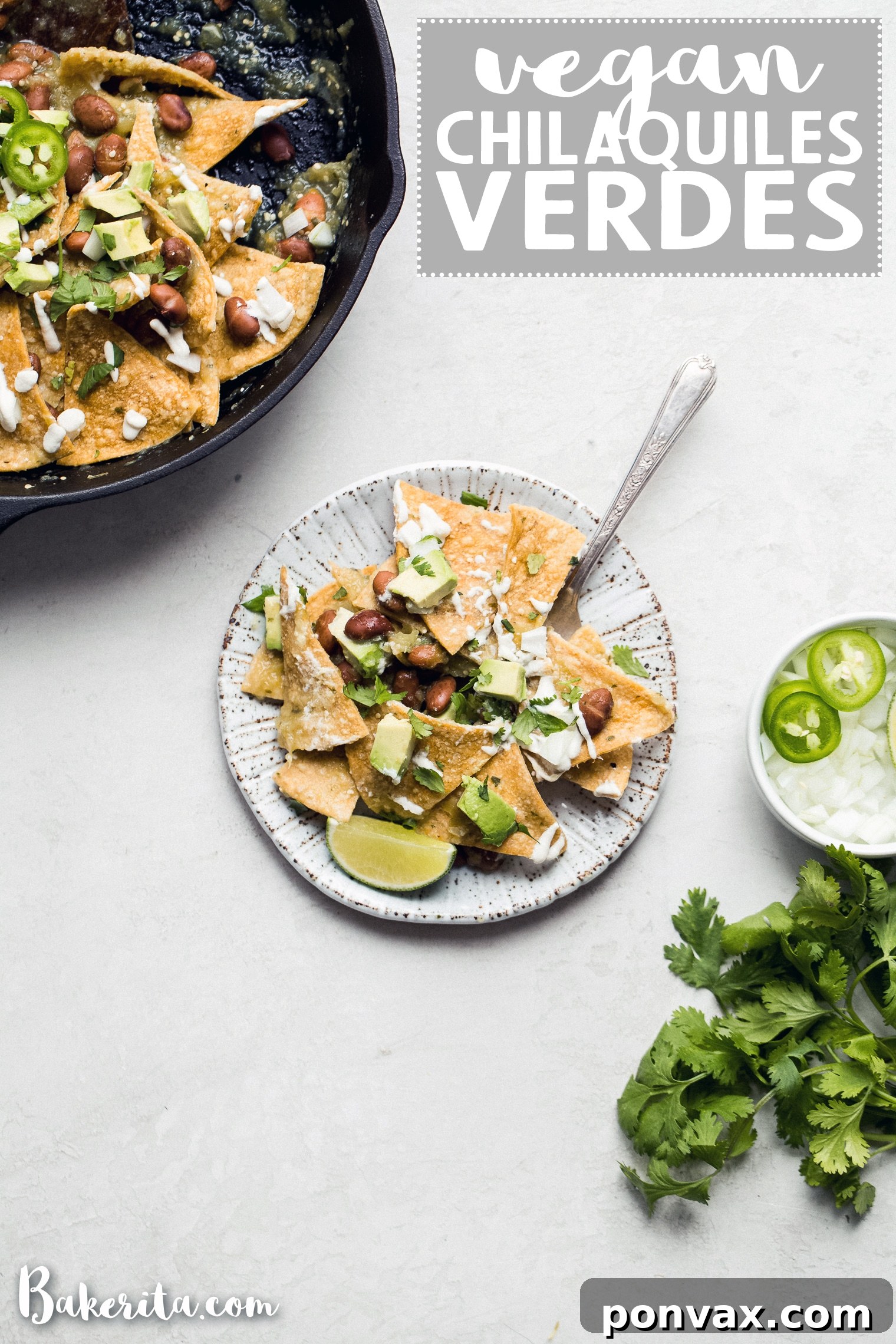 Make these Vegan Chilaquiles Verdes for a delicious breakfast, lunch, or dinner. It's made with an easy homemade salsa verde, baked tortilla chips, and a simple vegan sour cream! The recipe is naturally gluten-free and has a grain-free, paleo option.