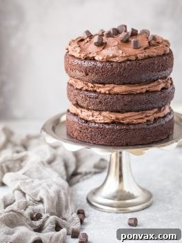 Paleo Chocolate Cake with Vegan Chocolate Ganache Frosting - a quick and easy cake recipe with a simple 2-ingredient frosting! This layer cake is gluten-free, paleo, dairy-free, and vegan, and it tastes as decadent as your favorite chocolate cake.