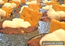 Sweet Beginnings: S’mores Cookie Cups 3 Delicious S'mores Cookie Cups Recipe Image