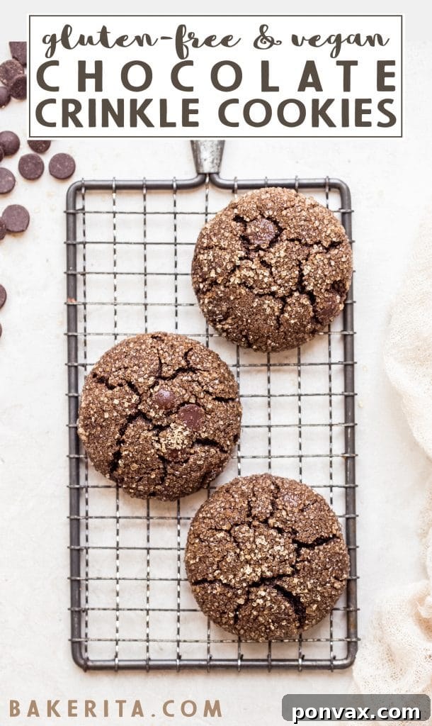Capture the essence of these delightful Gluten-Free Vegan Chocolate Crinkle Cookies – an ideal treat for sharing or enjoying solo! These paleo-friendly cookies are excellent for any occasion: lunchboxes, holidays, or a simple dessert, and they're wonderfully quick to make.