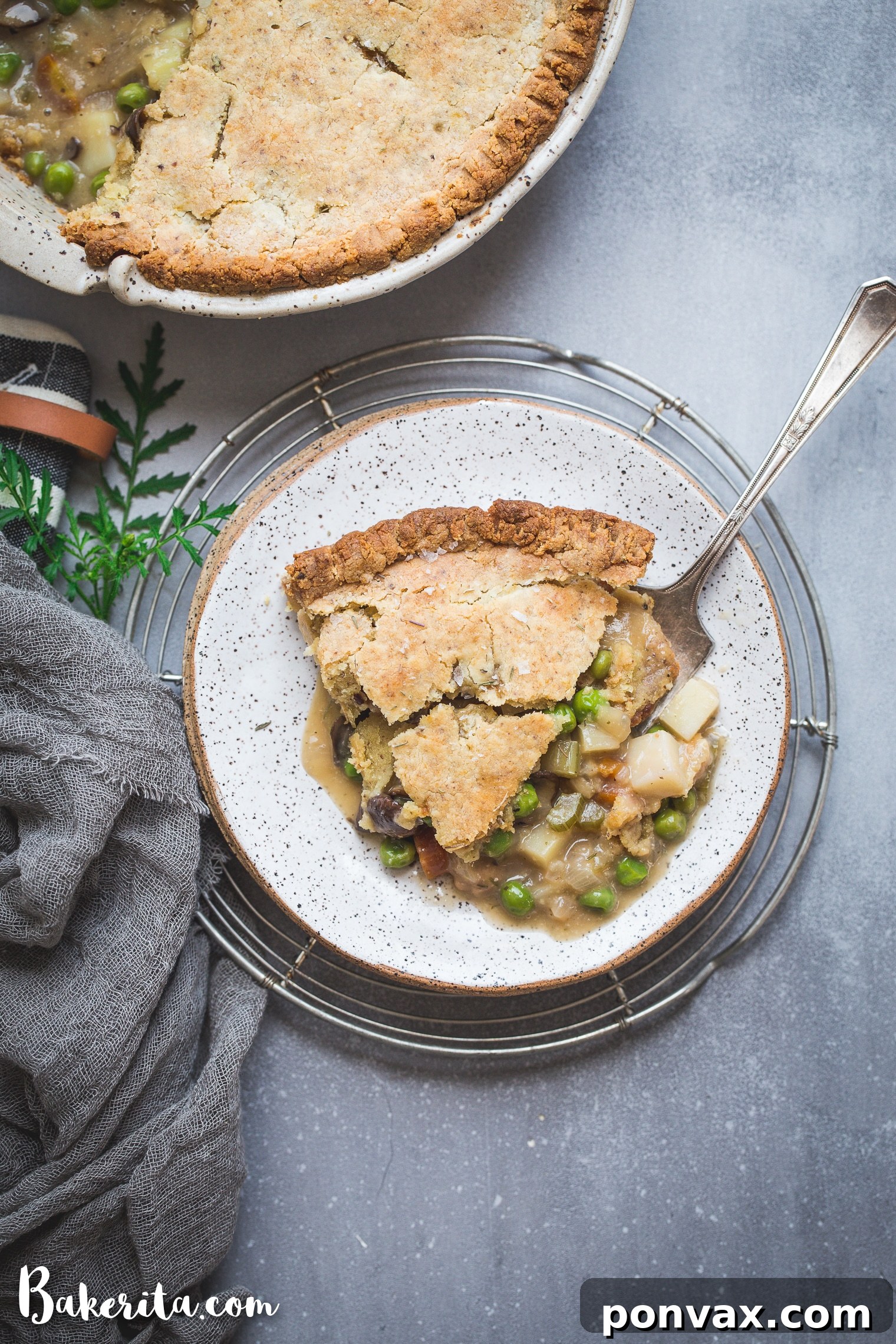 A beautifully baked Vegan Pot Pie with a golden, flaky gluten-free and paleo crust, showcasing its rich, creamy vegetable filling. Perfect for cold weather meals and meal prepping.