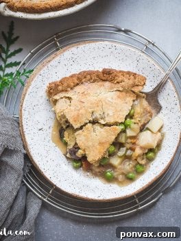 This Vegan Pot Pie has a scrumptious flaky gluten-free & paleo crust and the creamy filling is absolutely loaded with vegetables! This hearty, filling meal is perfect for chilly days and freezes well.