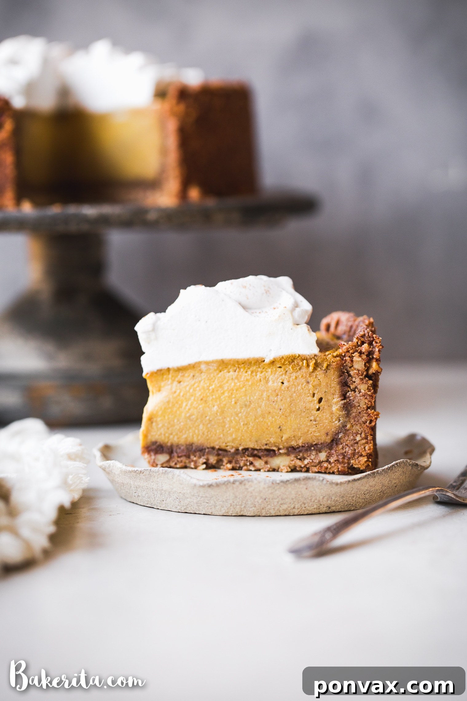 Autumn Glow Vegan Gluten-Free Pumpkin Cheesecake 3 A close-up of a Baked Vegan Pumpkin Cheesecake, showcasing the perfectly set filling and the rustic texture of the vegan graham cracker crust.