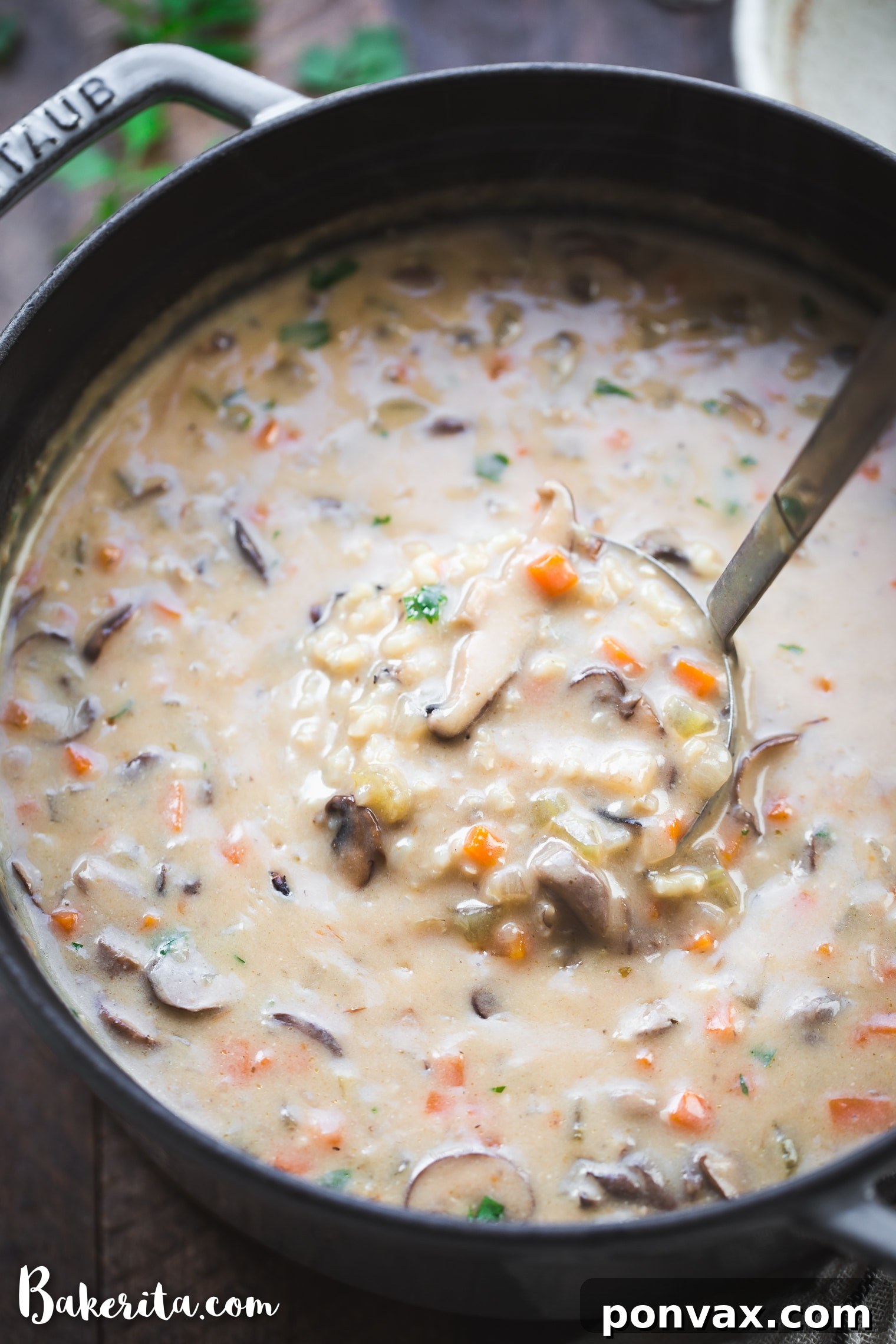 This Vegan Mushroom Wild Rice Soup is cozy, comforting, and so simple to make in under an hour using just one pot! It's the perfect healthy vegan dinner for chilly nights. It's loaded with mushrooms, wild rice, and vegetables.