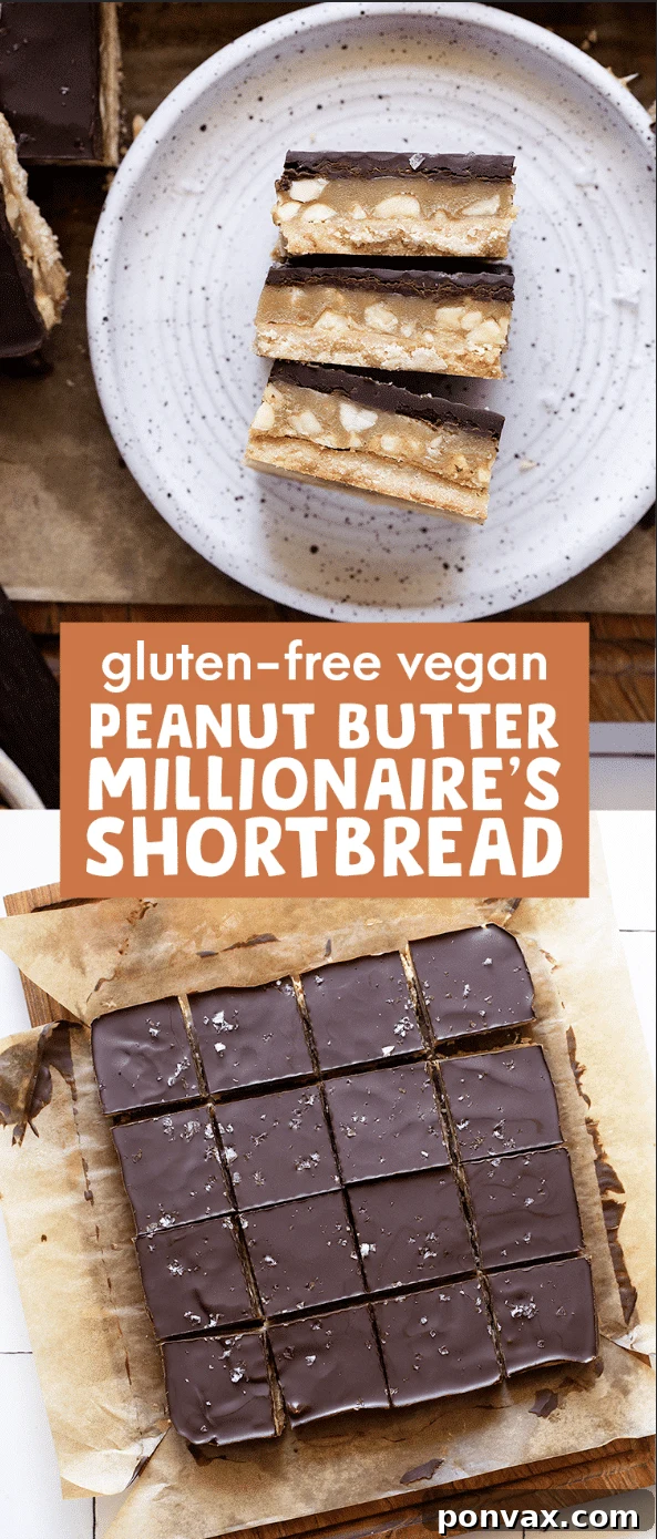 Decadent Vegan Peanut Butter Millionaire's Shortbread 8 A delicious square of Gluten-Free Vegan Peanut Butter Millionaire's Shortbread showing all three distinct layers clearly.