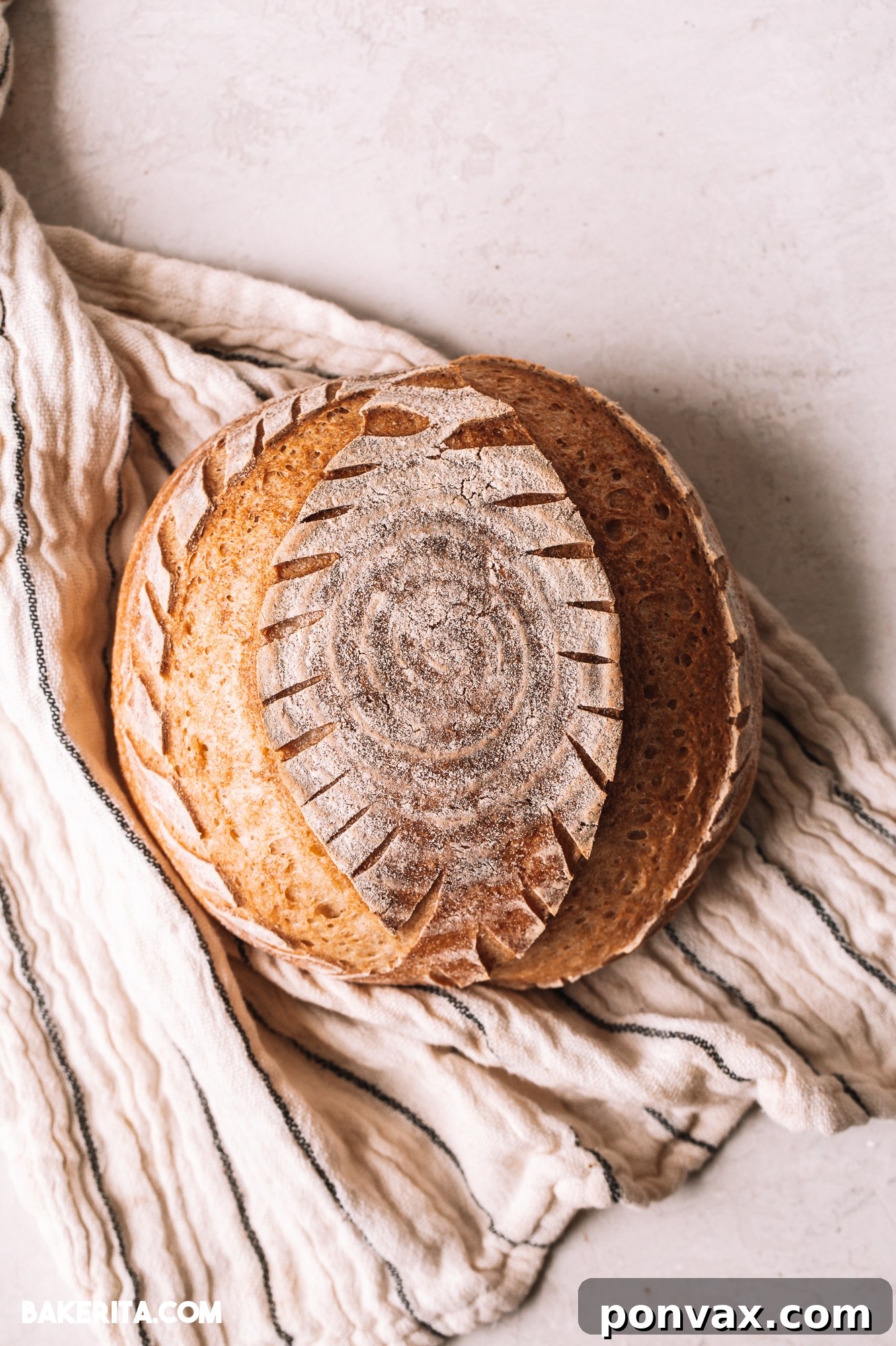 Crafting Perfect Gluten-Free Sourdough 9 A variety of gluten-free sourdough loaves in different shapes: a classic round boule and a rectangular sandwich loaf.