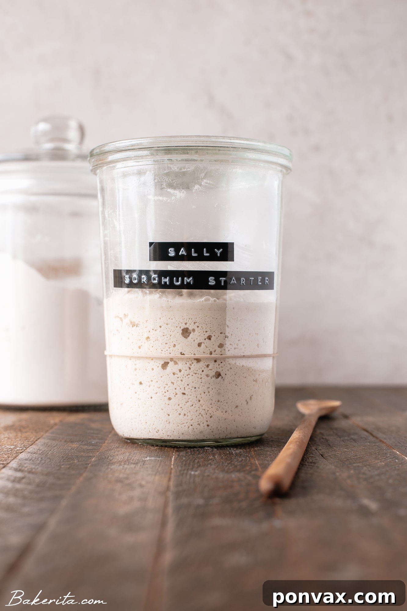 A glass jar filled with an active, bubbly gluten-free sourdough starter, ready for baking.
