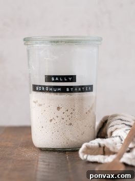 A gluten-free sourdough starter in a jar with visible bubbles and expansion, ready for use.