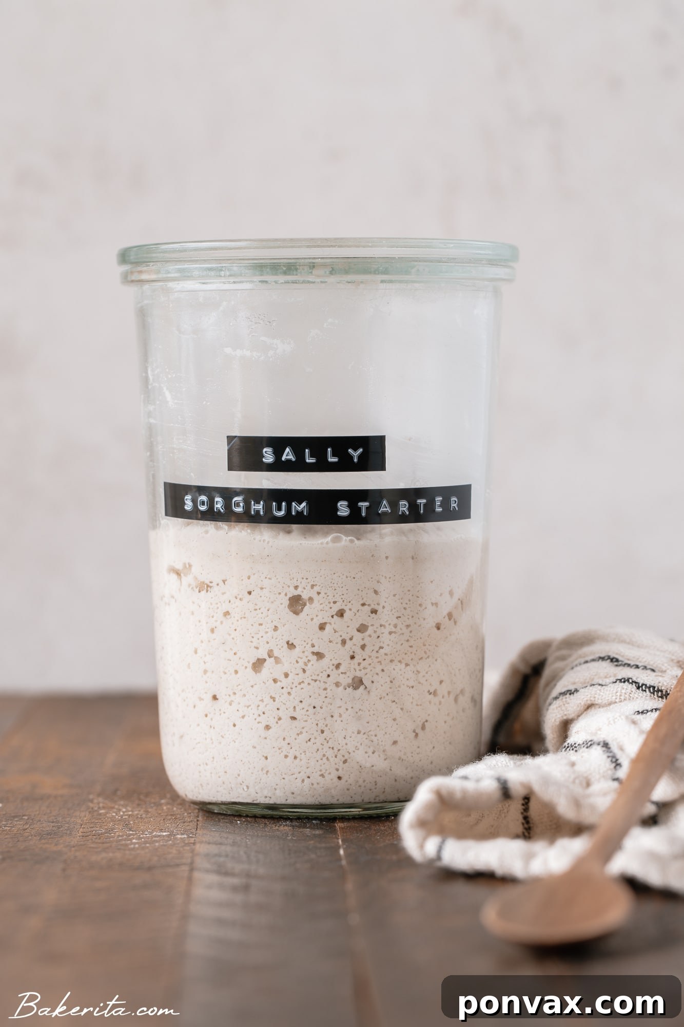 A glass jar with a perfectly active gluten-free sourdough starter, showing significant rise and bubbles at its peak.