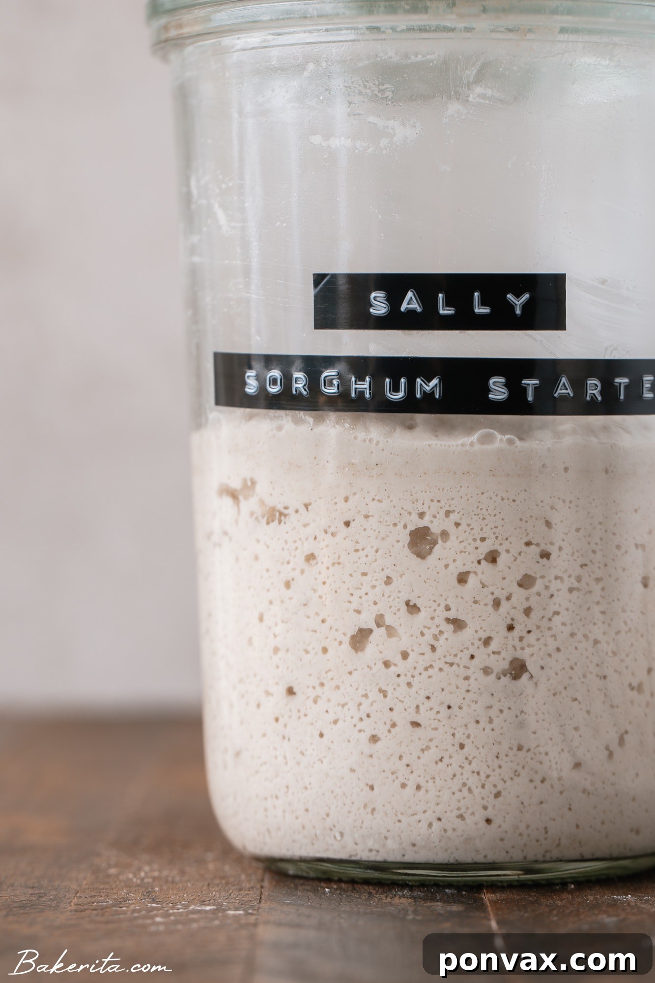 A glass jar with an established gluten-free sourdough starter, clean and ready for regular feeding and long-term maintenance.