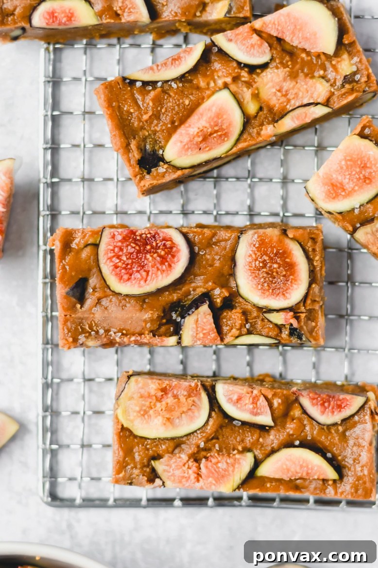 Vegan Super Bowl Feast: Over 50 Game Day Recipes 50 No-Bake Fig Newton Cookie Dough Bars from The Nutritious Kitchen: 6 ingredients, cashew butter, date syrup, fresh figs. Easy paleo and vegan dessert/snack.