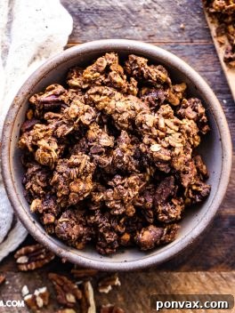 Easy Vegan Gingerbread Cookie Granola