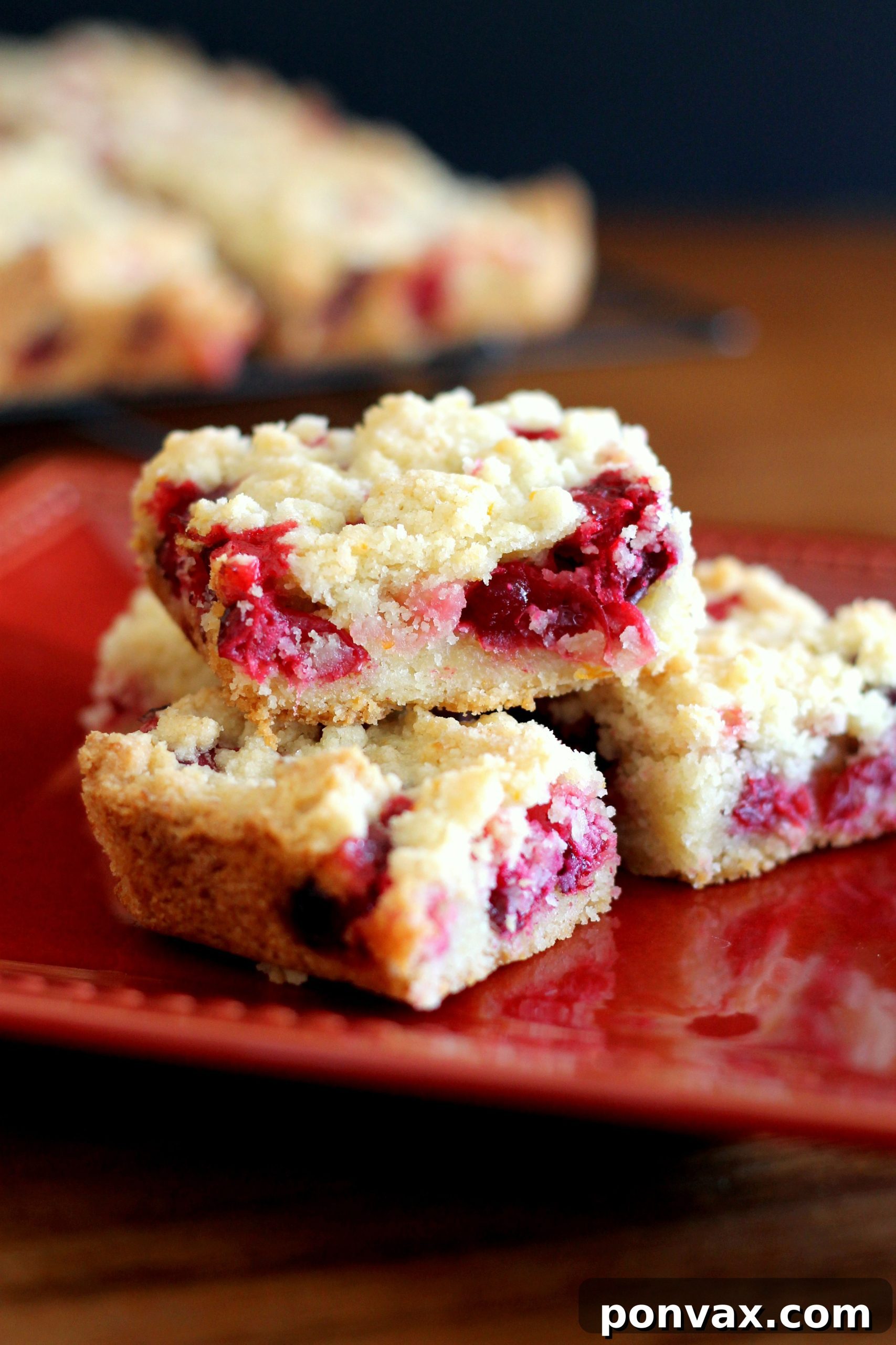 Delicious Cranberry Crumb Bars on a festive platter, topped with a crumbly crust and filled with tart cranberries.