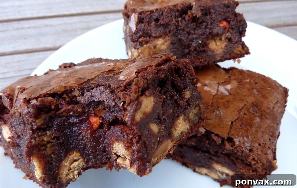Rich, fudgy Candy Baked Brownies loaded with chocolate candies