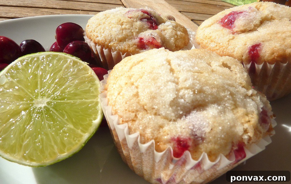 Freshly baked browned butter cranberry lime muffins on a cooling rack, showcasing their golden tops and festive red cranberries.