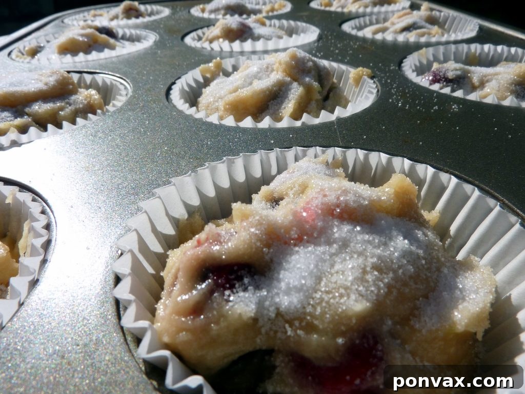 Students and fans dressed in black filling the stands, representing Torrey Pines High School's school spirit during a rivalry game.
