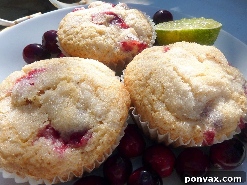 A vibrant, close-up shot of a browned butter cranberry lime muffin, revealing its moist texture and studded with fresh cranberries.