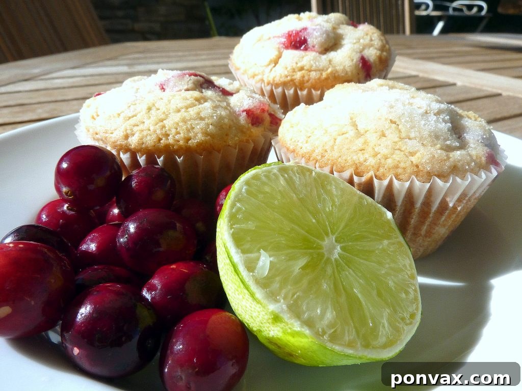 A batch of golden-browned butter cranberry lime muffins cooling on a wire rack, ready to be enjoyed.