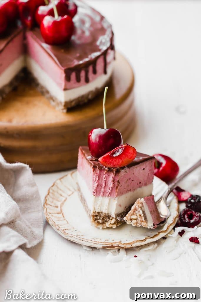 No-Bake Cherry Cheesecake with pecan coconut crust, vanilla, cherry layers, and dark chocolate ganache.