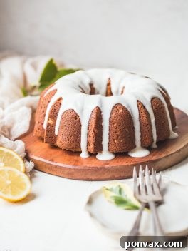 You'll love this easy-to-make Gluten-Free Vegan Lemon Cake! It is simple and elegant with a moist & airy crumb. To top it all off, we drizzle this paleo & refined sugar-free cake with a tangy lemon drizzle. 