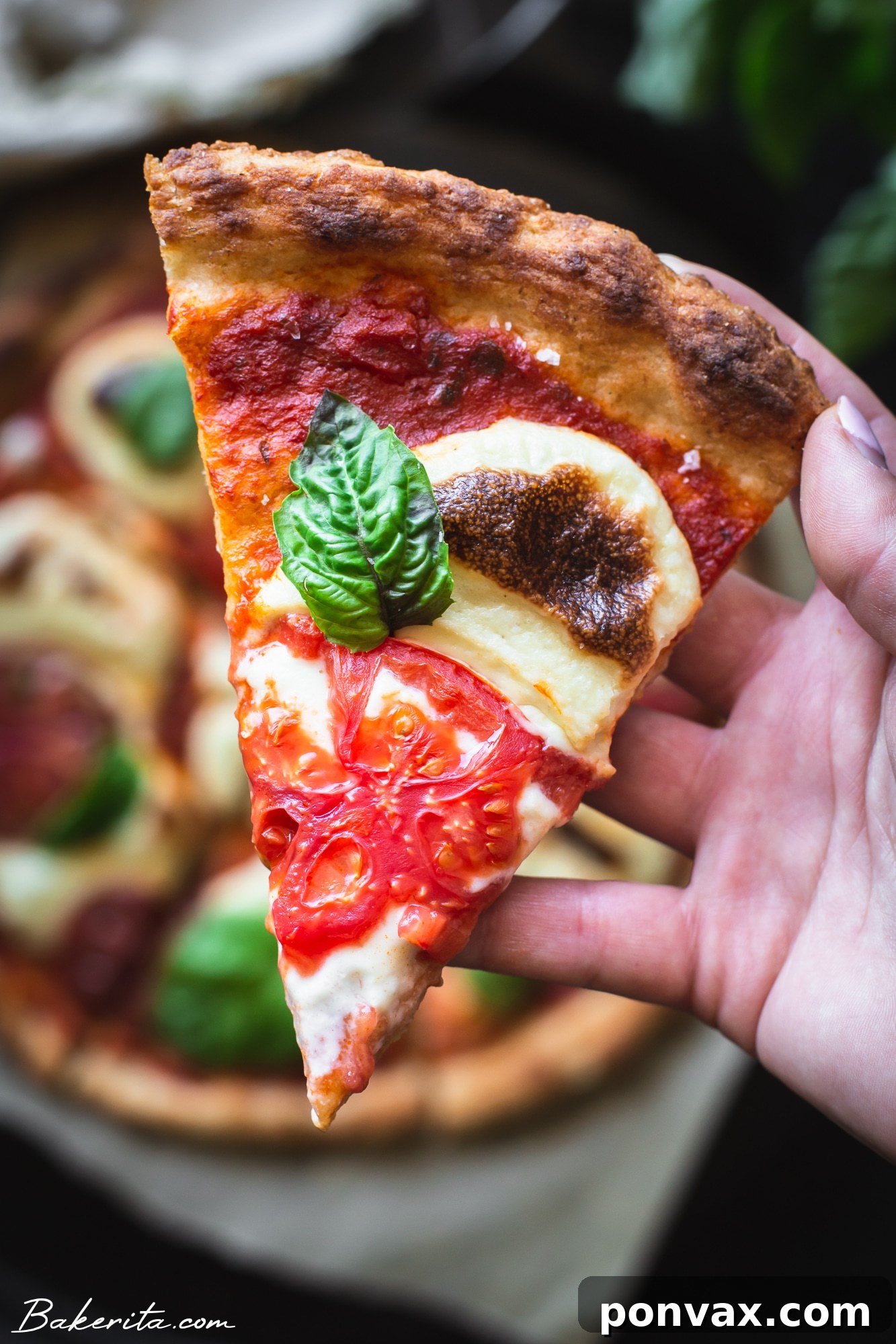 This Gluten-Free Sourdough Pizza Crust requires just six ingredients, 10 minutes, and one bowl needed to mix up the dough! This easy sourdough discard pizza dough recipe is also vegan, and couldn't be easier to make.