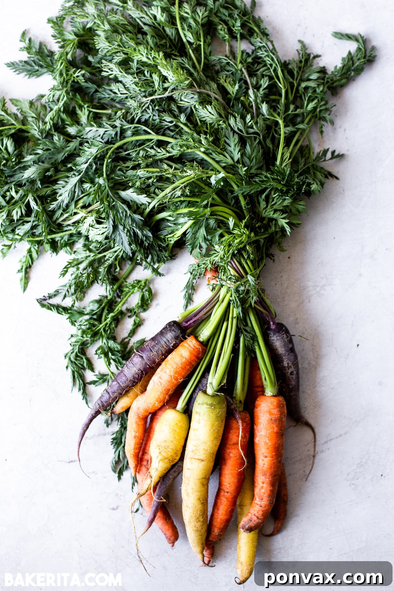 Zero-Waste Vegan Carrot Green Pesto 3 Close-up of a glass jar filled with green carrot top pesto, alongside fresh carrot greens and a garlic bulb, symbolizing fresh ingredients.