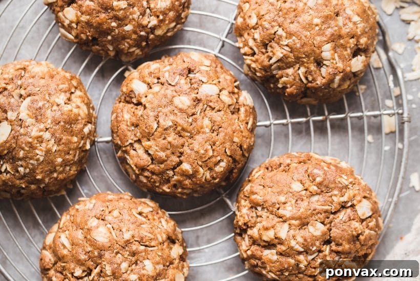 25+ Delicious Vegan Cookie Recipes 12 These Peanut Butter Oatmeal Cookies are incredibly soft and loaded with peanut butter flavor. They're vegan, refined sugar-free, and gluten-free. This simple recipe will become a quick favorite for any peanut butter fans.