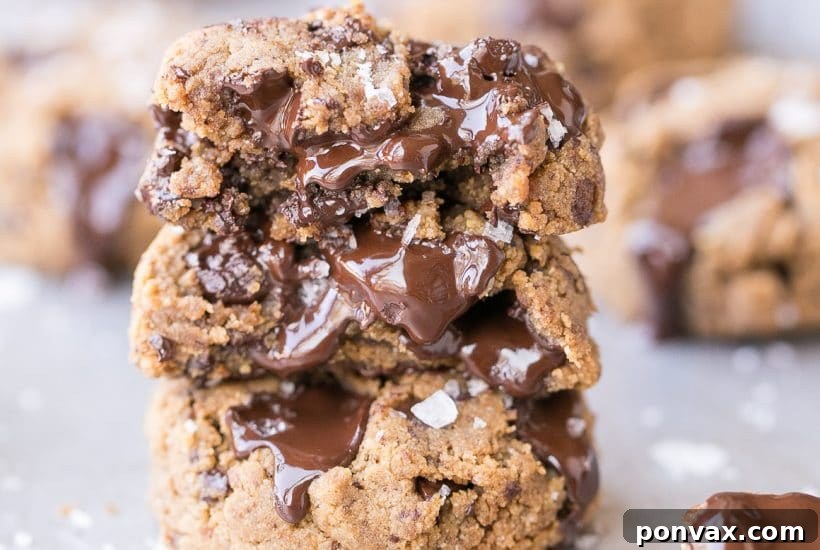 25+ Delicious Vegan Cookie Recipes 14 These Coconut Flour Chocolate Chip Cookies are ready in just 20 minutes and they are SO gooey, thick, and delicious. These easy cookies are Paleo, vegan, and nut-free.