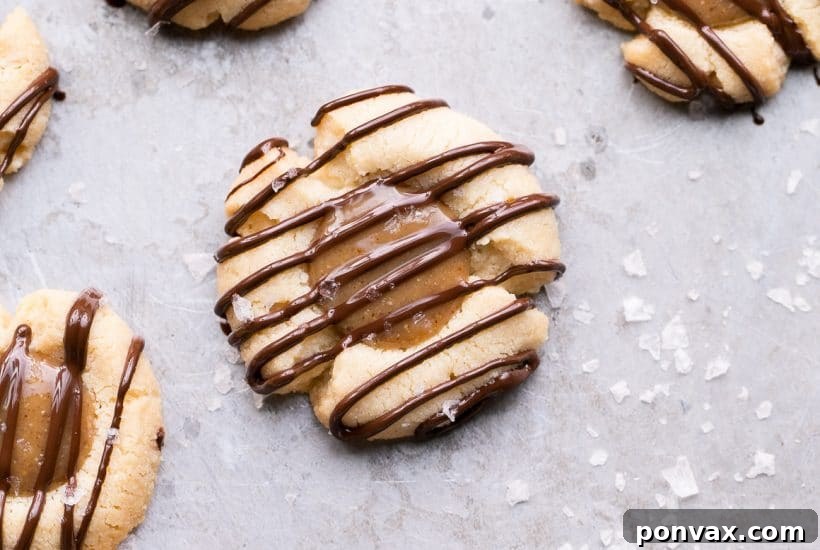 25+ Delicious Vegan Cookie Recipes 15 These Salted Caramel Thumbprint Cookies are super easy to make with only 6 ingredients total! The tender gluten-free and Paleo shortbread cookies are filled with a no-cook vegan caramel and topped off with a dark chocolate drizzle and flaky sea salt. They're perfect for the holidays!