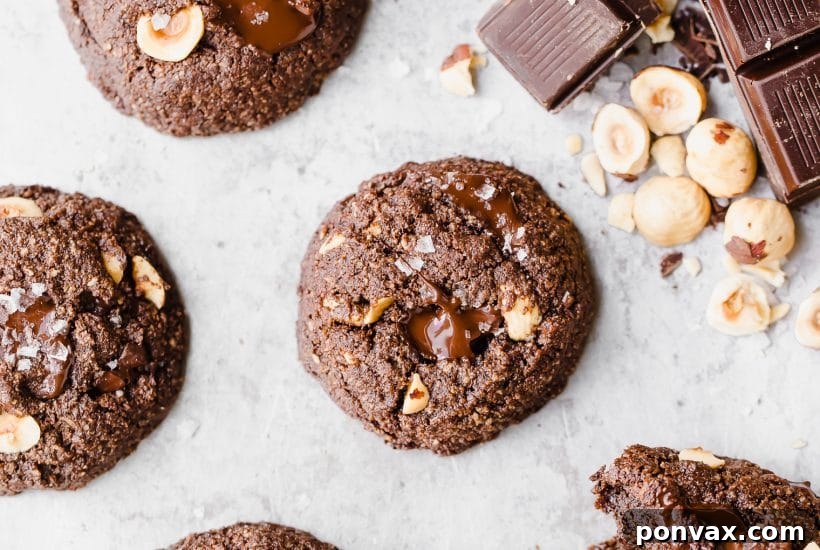 25+ Delicious Vegan Cookie Recipes 16 These Double Chocolate Hazelnut Cookies are soft, fudgy, and incredibly chocolatey! These irresistible cookies are loaded with melty dark chocolate chunks and crunchy hazelnuts, and you'd never guess they're gluten-free, paleo, and vegan.