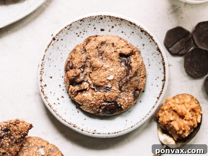 25+ Delicious Vegan Cookie Recipes 3 A selection of baked vegan cookies, featuring various textures and toppings, artfully arranged on a rustic wooden background, implying a delightful and diverse baking experience.
