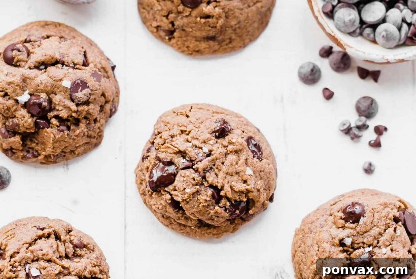 25+ Delicious Vegan Cookie Recipes 22 These naturally Flourless Almond Butter Chocolate Chip Cookies are so tender that they melt in your mouth! These flavorful cookies have just 5 ingredients and they are gluten-free, Paleo, refined sugar-free and vegan.