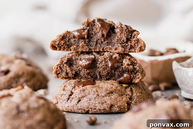 25+ Delicious Vegan Cookie Recipes 23 Calling all coffee lovers! These Mocha Chocolate Chip Cookies are irresistibly good, with the flavor of espresso shining through and dark chocolate chunks in every bite. You wouldn't guess that they're gluten-free, paleo and vegan.