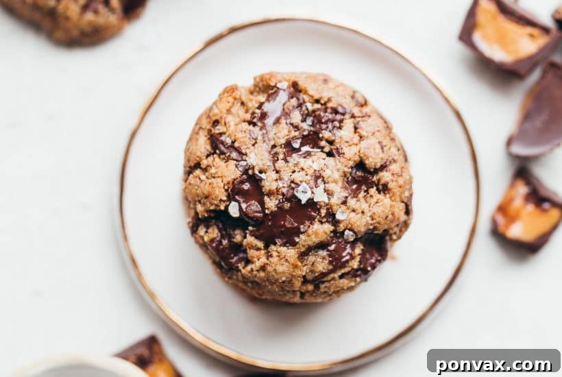 25+ Delicious Vegan Cookie Recipes 24 You need to try these delicious Peanut Butter Chocolate Chip Cookies - they're full of chopped up mini peanut butter cups that we fold into the dough along with the dark chocolate chunks! You'll love these gluten-free, grain-free, refined sugar-free, and vegan cookies.